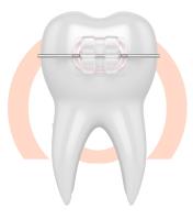 Schroeder Orthodontics image 1