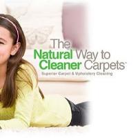Young's Chem-Dry Carpet Cleaning image 1