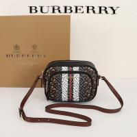 Burberry Monogram Stripe E-canvas Camera Bag image 1
