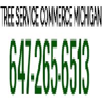 Tree Service Commerce image 7