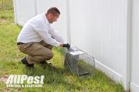 All Pest Control & Solutions image 4
