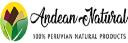 AndeanPower logo