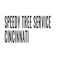Speedy Tree Service Cincinnati image 4