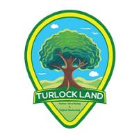 Turlock Land image 1