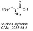 seleno-l-cysteine logo