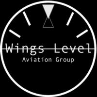 Wings Level Aviation Group, LLC image 1