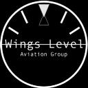 Wings Level Aviation Group, LLC logo
