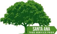 Santa Ana Tree Service Pros image 2