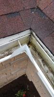 Clean Pro Gutter Cleaning Pittsburgh image 6