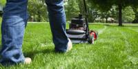 Lagrangeville Lawn Care Pros image 1