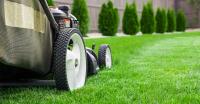 Lagrangeville Lawn Care Pros image 8