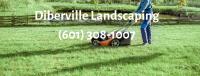 Diberville Landscaping image 1