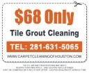 tile and grout cleaning houston logo