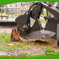 JRP Tree & Demolition Services image 6