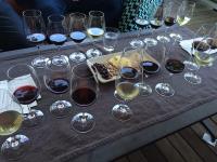 Shared Private Wine Tasting Tours St. Helena CA image 1