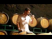 Shared Private Wine Tasting Tours St. Helena CA image 2