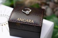 Angara Inc. image 4