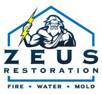 Zeus Restoration image 1