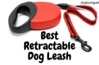 Dog Leash Guide image 1