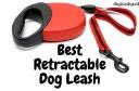 Dog Leash Guide logo