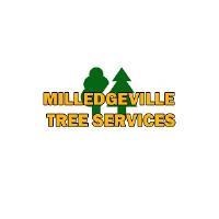 Milledgeville Tree Services image 2