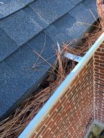 Clean Pro Gutter Cleaning Raleigh image 4