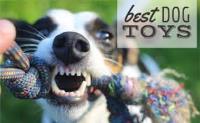 Best Dog Toys image 4