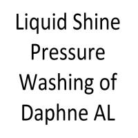 Liquid Shine Pressure Washing of Daphne AL image 7