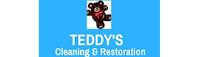 TEDDY'S CLEANING AND RESTORATION LLC image 1
