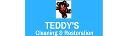 TEDDY'S CLEANING AND RESTORATION LLC logo