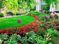 Best Landscaping Company Canton NC image 3