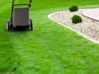 Best Landscaping Company Canton NC image 5