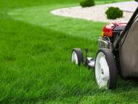 Commercial Mowing Candler NC image 5