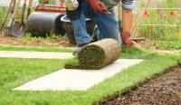 Commercial Landscaping Waynesville NC image 8