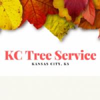 KC Tree Service Kansas City image 1