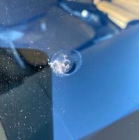 Daly City Windshield Repair image 1