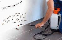 EcoFusion Pest Control & Bed bug extermination image 2