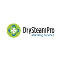 Dry Steam Pro image 1
