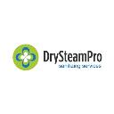 Dry Steam Pro logo