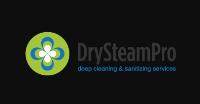 Dry Steam Pro image 2