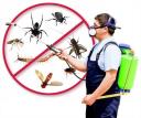 Dinajpur Pest Control logo