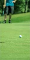 Tecumseh Golf Club image 4