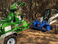 Tree Removal Cost Grass Valley CA image 2