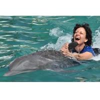 Miami Swim With Dolphin Tours image 4
