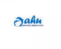 Oahu Swim with Dolphins Tour & Ticket image 1