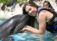 Oahu Swim with Dolphins Tour & Ticket image 2