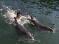 Florida Keys Swim with Dolphin Tours and Tickets image 4