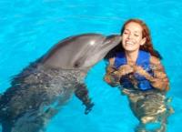 Oahu Swim with Dolphins Tour & Ticket image 3
