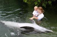 Florida Keys Swim with Dolphin Tours and Tickets image 3