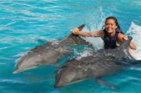 Oahu Swim with Dolphins Tour & Ticket image 4